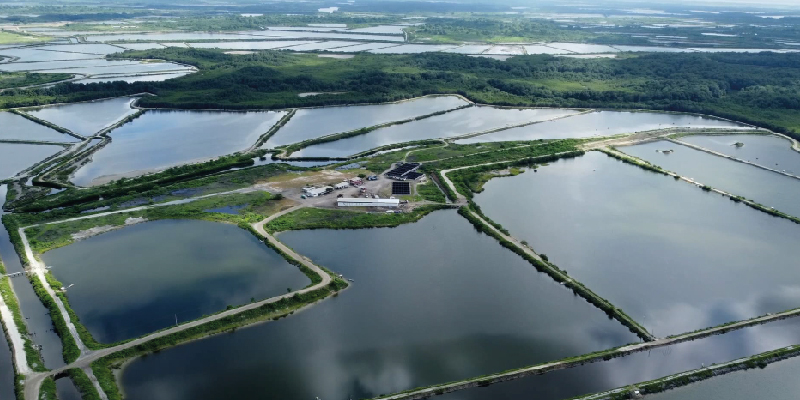 camaronera-galeria (10)