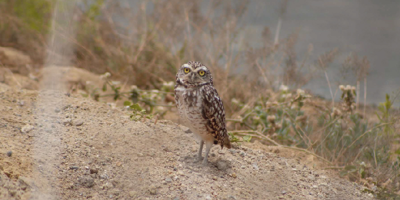 camaronera-galeria (12)