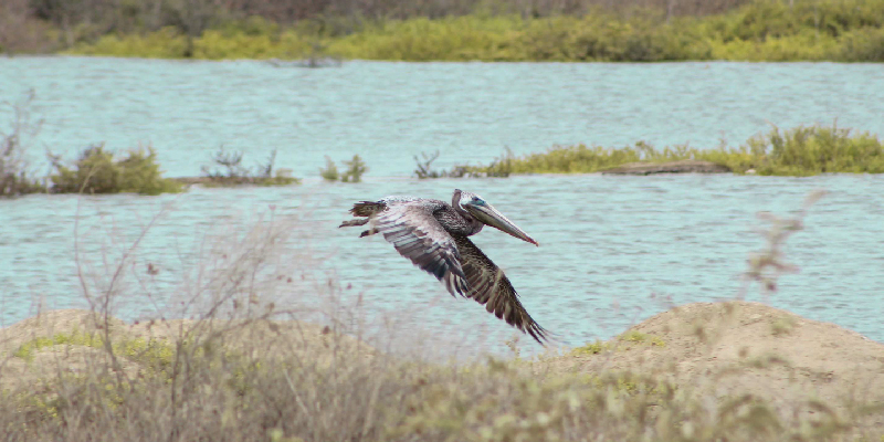 camaronera-galeria (14)