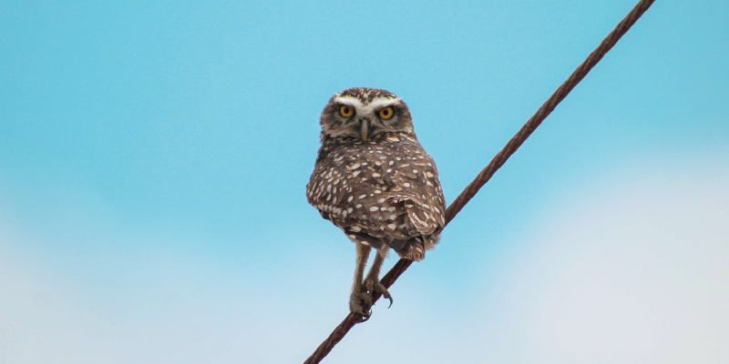 camaronera-galeria (16)