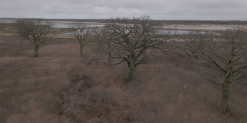 camaronera-galeria (18)