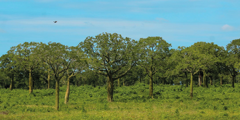 camaronera-galeria (19)