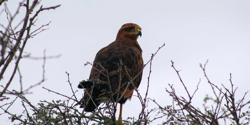 camaronera-galeria (21)