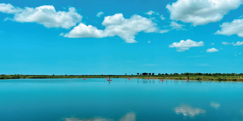 camaronera-galeria (22)