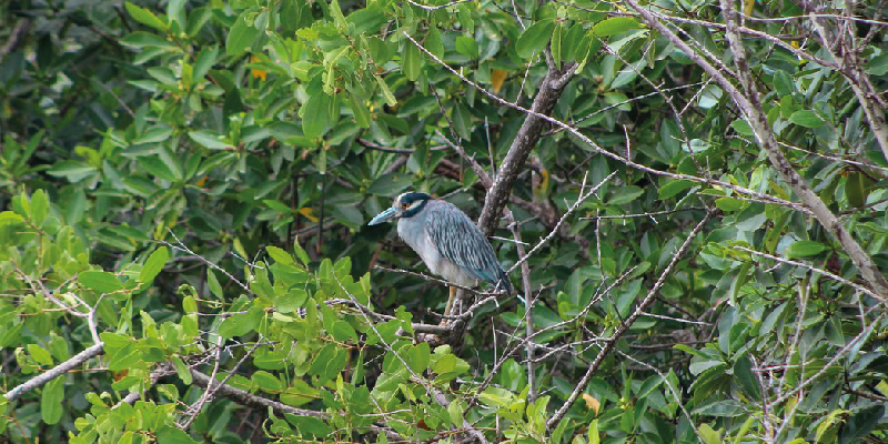 camaronera-galeria (23)