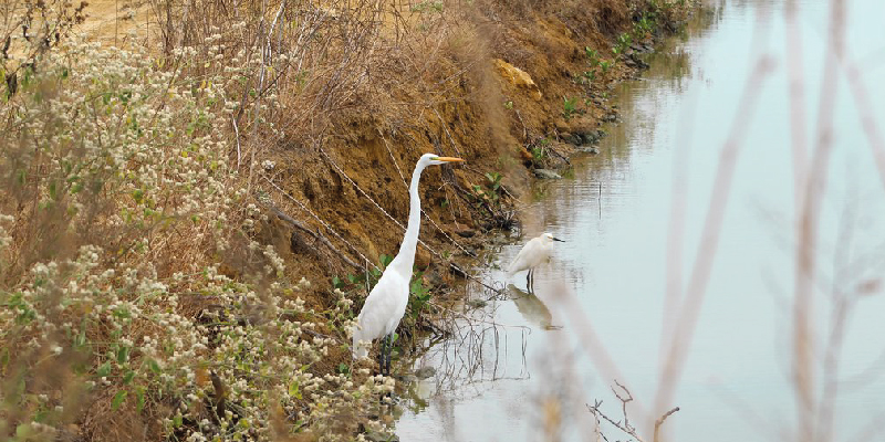 camaronera-galeria (24)