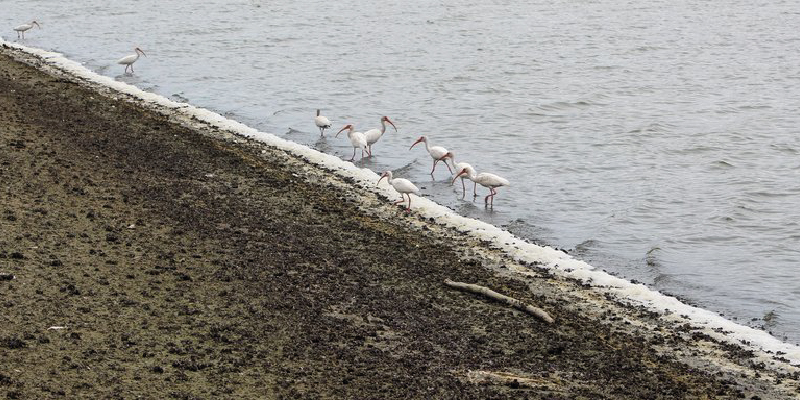 camaronera-galeria (25)