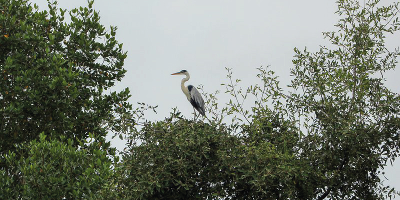 camaronera-galeria (26)