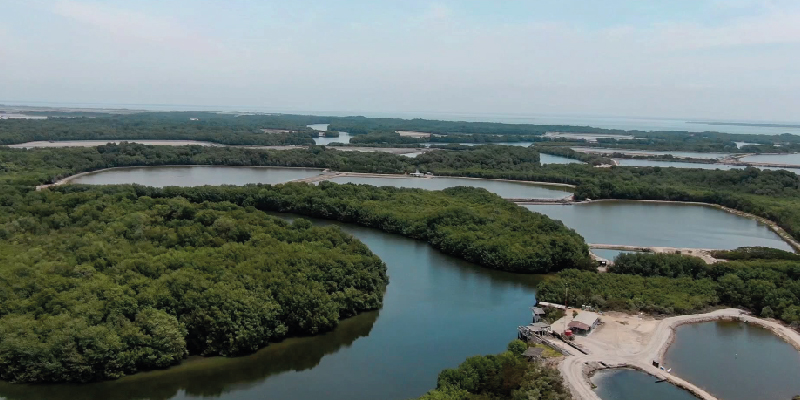 camaronera-galeria (29)