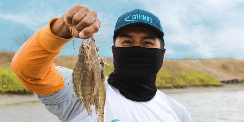 camaronera-galeria (5)