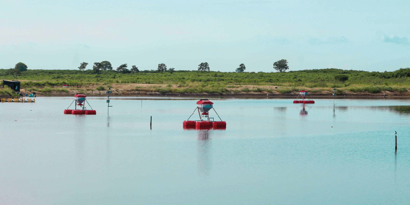 camaronera-galeria (6)