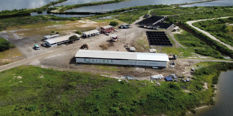 camaronera-galeria (7)