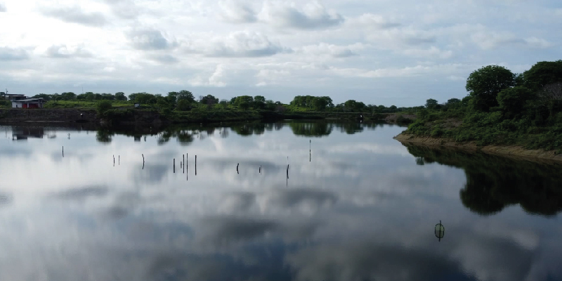 camaronera-galeria (8)