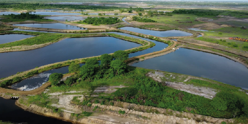 camaronera-galeria (9)